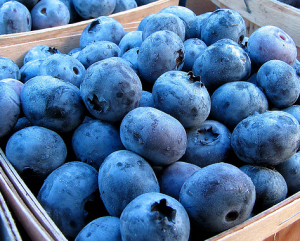 Blueberries
