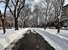 blogImg_snow