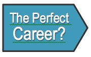 Banner The Perfect Career