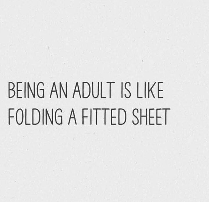 Being an adult is like folding a fitted sheet meme Being an adult is like folding a fitted sheet meme