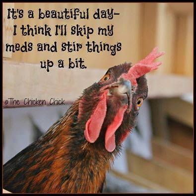 It's a beautiful day think I'll skip my meds and stir things up a bit It's a beautiful day think I'll skip my meds and stir things up a bit