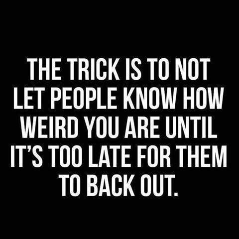 The Trick Is Not to Let people know you are weird until its too late to back out meme The Trick Is Not to Let people know you are weird until its too late to back out meme