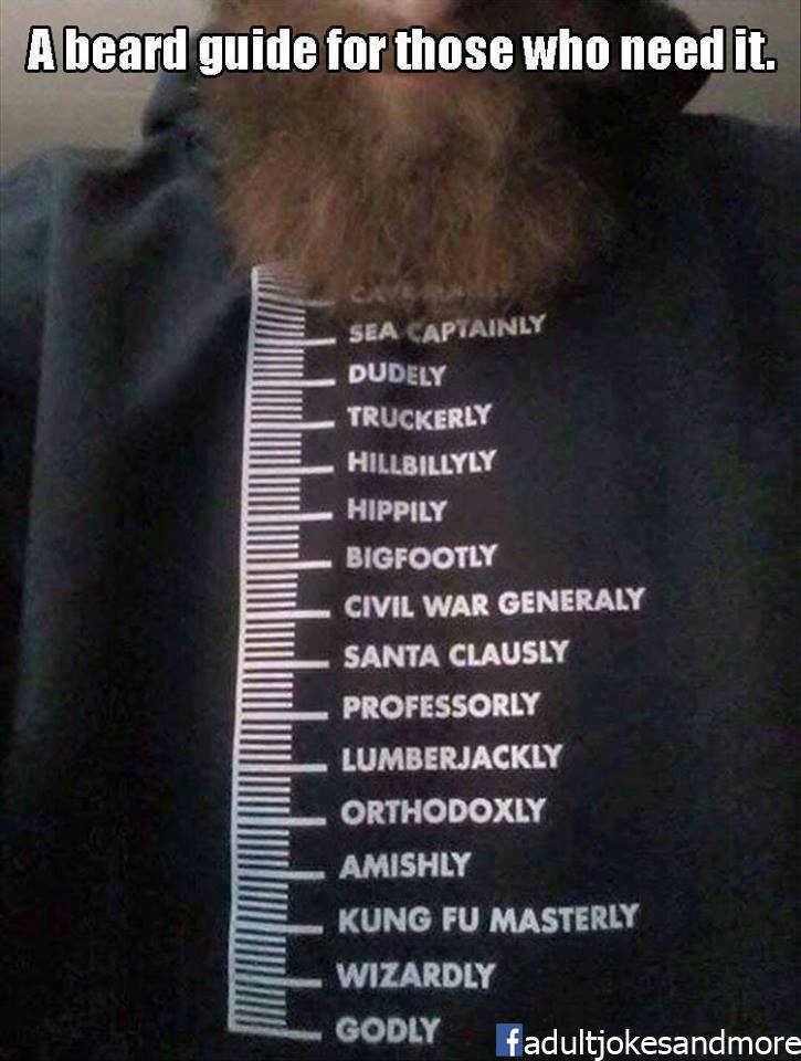 beard guide Beard Guide Meme