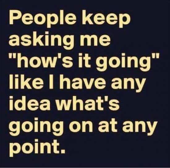 people hows it going like i have any idea People keep asking me How's it going? Like I have any idea what's going on at any point
