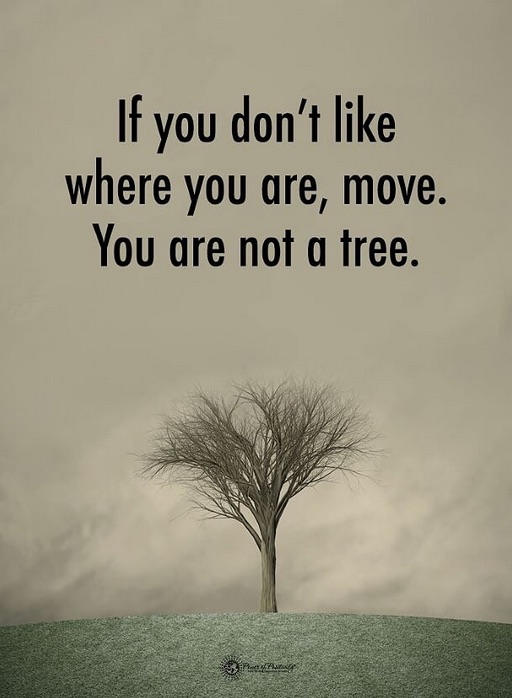 If you don't like where you are move you are not a tree