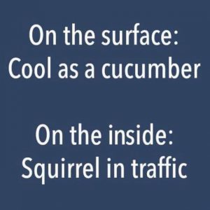 Meme about squirrels