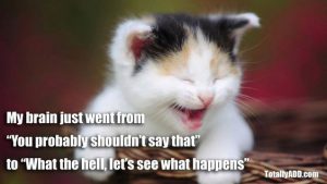 Meme about speaking your thoughts featuring a cat
