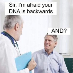 Dad joke about DNA