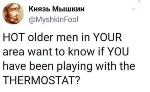 Funny Tweet about playing with thermostat