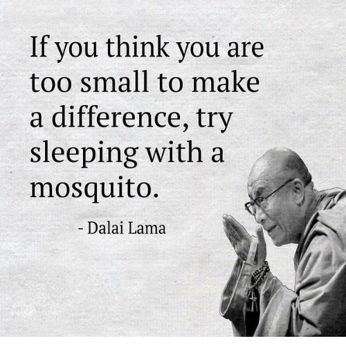 Quote from Dalai Lama about making a difference