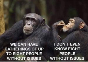 Monkey meme about people with issues